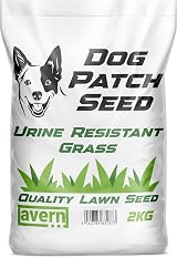 Avern Dog Patch Grass Seed 2KG Bad-Turfs Repair Overseeding Urine Resistant view 2