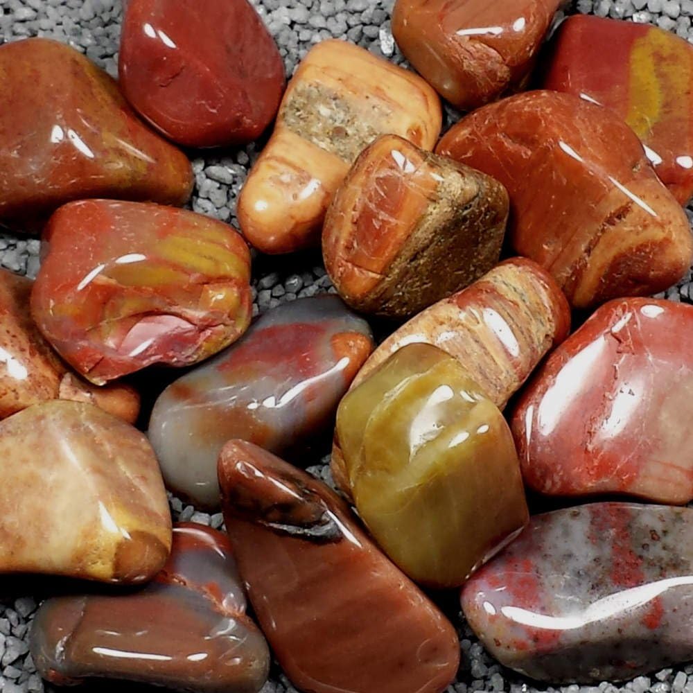 Resonant Energies Petrified Wood Tumbled Polished Natural Stones, 1 pc, Sizes 1 to 1.5 Inch, Reiki Wicca Chakra Crystal Healing Gemstone, TS1153