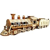 Express Train - DIY 3D Wooden Puzzle Model Kit - Laser Cut Wooden Puzzle Craft Kit, Brain Teaser Educational Building Model Toy for Kids -Mechanical Train Model Kits