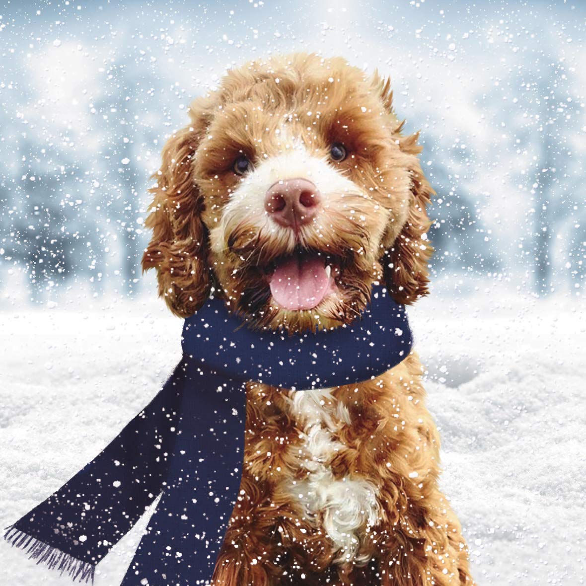 Pack of 8 Louie In Snow Cute Dog Mini Charity Christmas Cards Multiple Charities ASCX0291