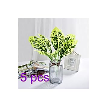 Get Aussen tropischer dekor For iPhone Free Aussen Tropischer Dekor