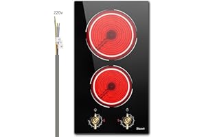 Disaenvir 2 Burner Electric Cooktop - 12 Inch Electric Stove Top 3000W, 220V Built-in Ceramic Cook Top with Retro Knob, 9 Power Heating Level, 220-240V Hard Wired