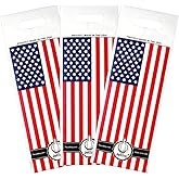 JetBag Travel Wine Bag (Set of 3, US Flag Pattern) - The Original Absorbent, Reusable & Protective Wine Bottle Bag - Made in the USA
