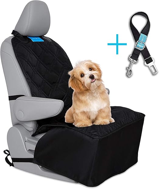 dog car seat belt amazon