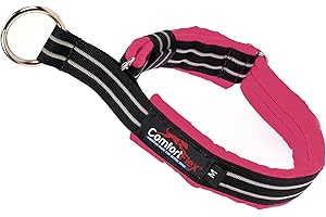 ComfortFlex Martingale Dog Collar - 1" Wide, Reflective, Adjustable, Fully Padded Nylon, Gentle Control, Escape-Proof, Limited Slip Design, Made in The USA, Small, Berry