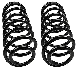 MOOG 81632 Coil Spring Set for Chrysler Town
