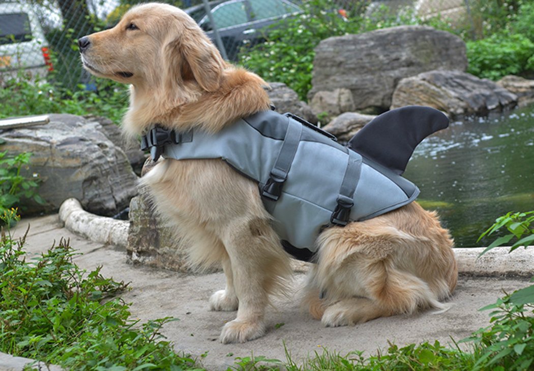 XIAOYU Dog Life Jacket, Adjustable Pet Life Preserver Safety Dog Swimming Pool Vest, Novice Swimmer Life Jacket for Pets, Water Safety at the Pool, Beach, Boating, Grey, S