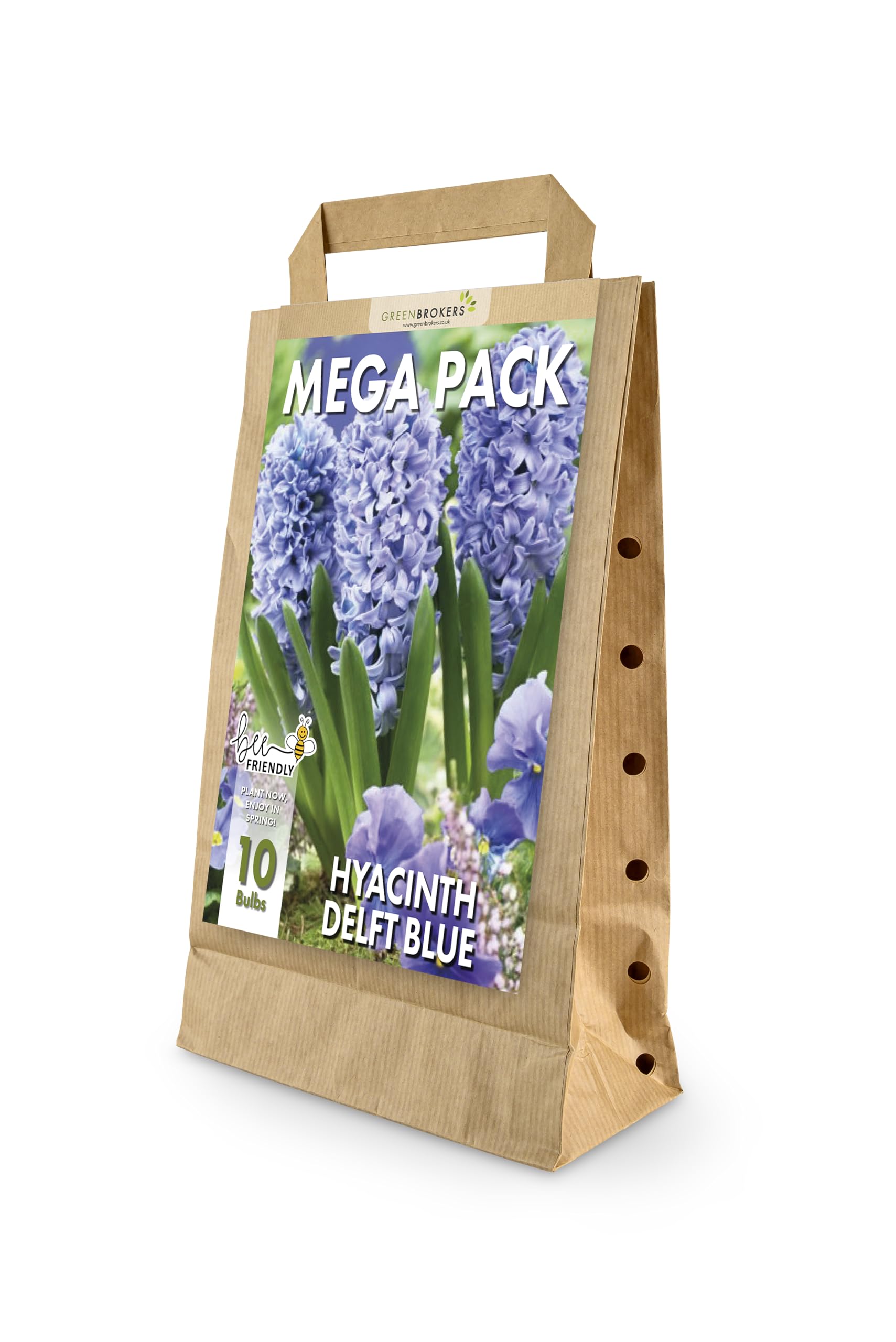 GreenBrokers Hyacinth Spring Flower Bulbs - Delft Blue