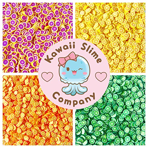 Citrus Blast Fimo Slice Collection for Slime 100 grams!