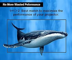 Black Diamond 150 inch ALR Projector Screen 16:9