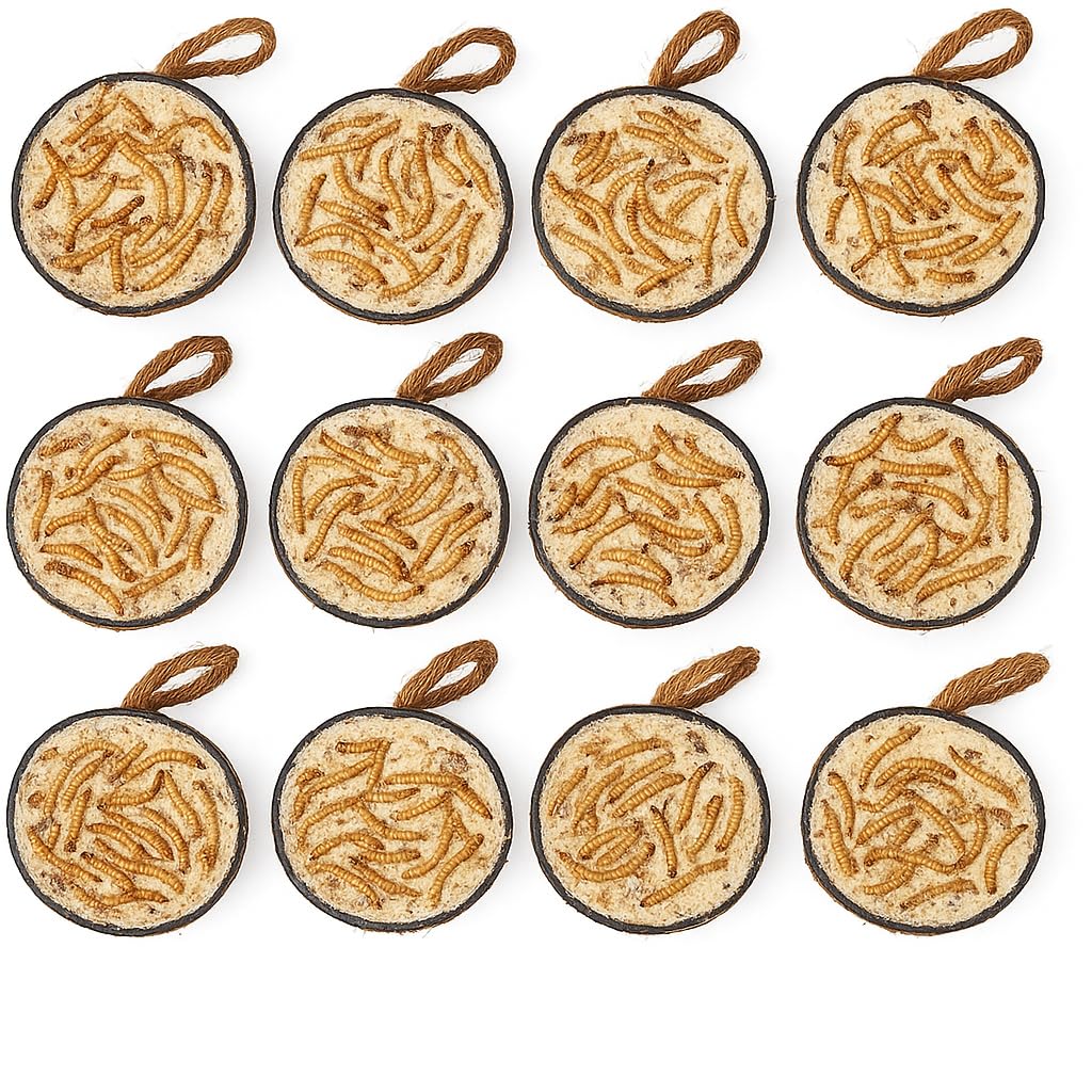 Garden Ting Mealworm Suet Coconut Halves Wild Bird Treat, 12 Pack
