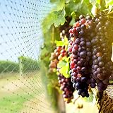 REQUISITE NEEDS Green Garden Netting 4m x 10m Bird Pesticide Free Protection view 4