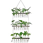 XXXFLOWER Wall Hanging Propagation Station with Wooden Stand 21 Glass Test Tubes 3 Tiers Planters Wall Terrarium for Home Office Plant Hanger Flower Vases Wall Decor Hydroponic Cuttings