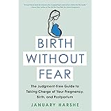 Birth Without Fear: The Judgment-Free Guide to Taking Charge of Your Pregnancy, Birth, and Postpartum