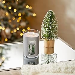 Yankee Candle Silver Birch Scented, Classic 22oz