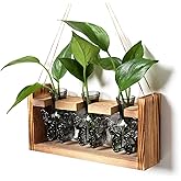 Glass Plant Propagation Station Butterfly Planter Vase with Wooden Stand Birthday Gifts for Women Mom Plant Lovers Office Home Decoration