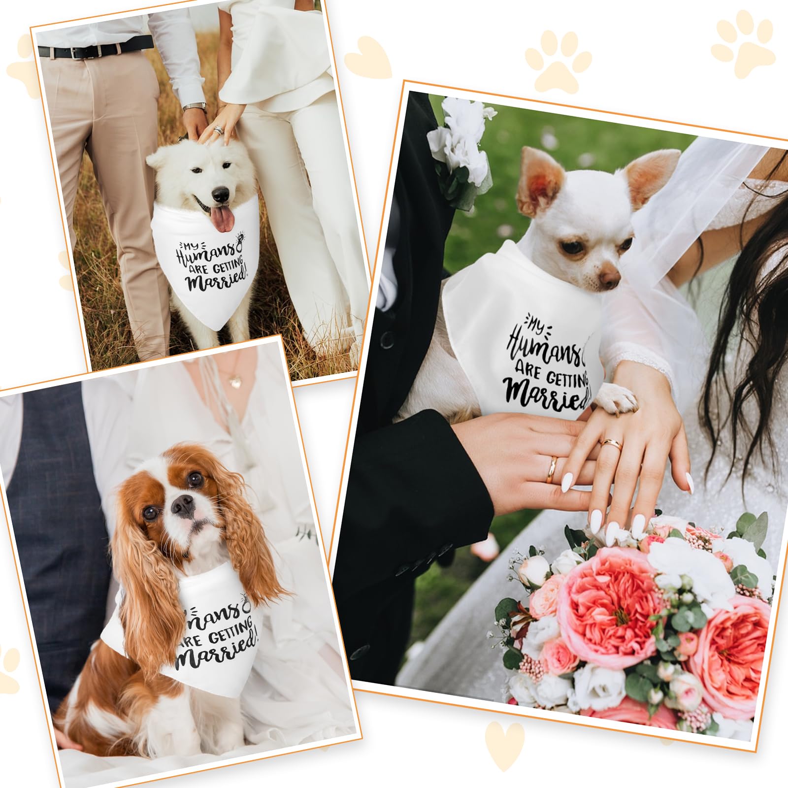 View 5