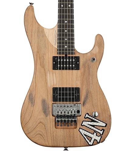 Washburn Nuno Bettencourt Model エレキギター 2006 Washburn Nuno Bettencourt Signature Model Electric Guitar