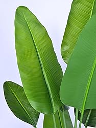 Artificial Bird of Paradise - Fake Plants Areca