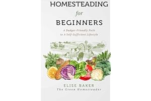 Homesteading for Beginners: A Budget-Friendly Path to A Self-Sufficient Lifestyle