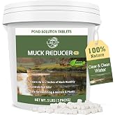 LMJP Muck Reducer for Ponds, Sludge Solution, Away Muck &amp; Odor Control, 5LB | Pond &amp; Lake Cleaning, Natural Beneficial Bacteria &amp; Enzymes, Fish, Wildlife &amp; Recreation Safe, Treats Up To 30,000 Sq Ft