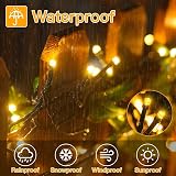Ollny Christmas Tree Lights Outdoor 80m 800 LED Warm White IP44 Remote view 4