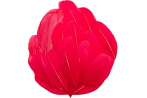 FEATUMAN 50 Pcs Red Craft Feathers, Natural Assorted Colors Goose Feathers for Hats, 2-3 Inch Small Feathers for Crafts, DIY Christmas Hallowmas Thanksgiving Mask Centerpiece Feather