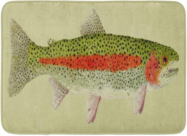 Ynimiohob Bath Mat Fly Trout Rainbow Brown Fishing Salmon Nature Bathroom Decor Rug Amazon Co Uk Kitchen Home