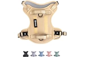 FEI AND EVE 2025 New Edition, Fei & Eve Classic Dog Harness - Quick-Release Buckles | 3-Point No-Pull Control | Heavy-Duty 900D Nylon | Dual Safety Handles | Breathable Mesh | Adjustable Fit | Small,Champagne