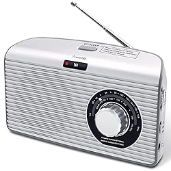 DreamSky Portable AM FM Radio with Sleep Timer