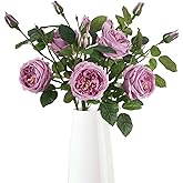 Rzoukler Real Touch Purple Austin Roses Peonies Artificial Flowers 4 Bouquets Latex Fake Peonies with Long Stem Realistic Faux Peonies for Wedding Party Home Table Centerpieces Decor (Deep Purple)