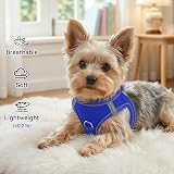 Joytale Step in Dog Harness Navy Blue Small Breeds Breathable Reflective view 4