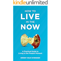 How to Live in the Now: A Practical Guide to Living In the Present Moment book cover