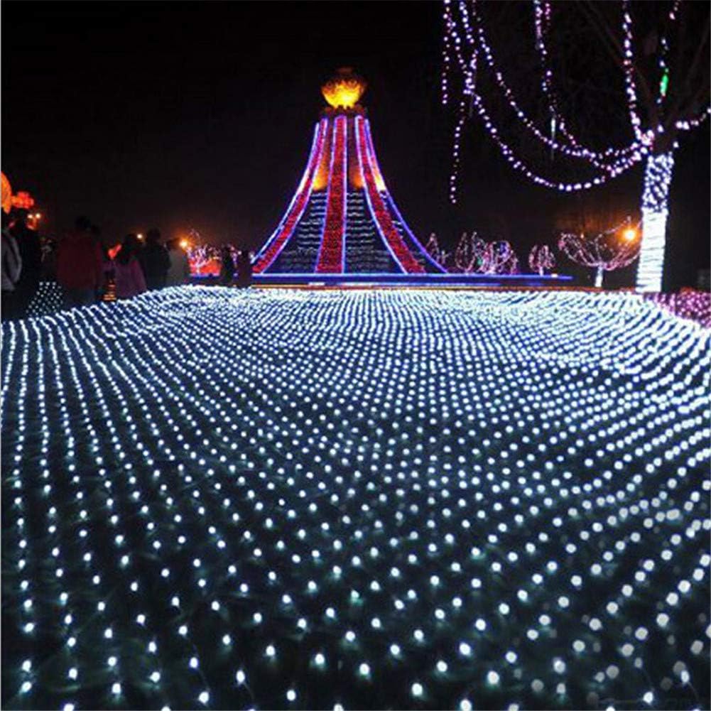MS.REIA Net Mesh Fairy String Light, LED String Lights Energy Saving (880 Lights), Outdoor Garden Christmas Home Decor 6m*4m Cold White