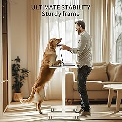 YSSOA Mobile Small Standing Desk - Rolling Desk