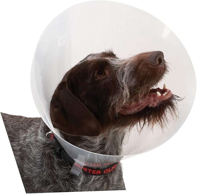 30cm dog cone