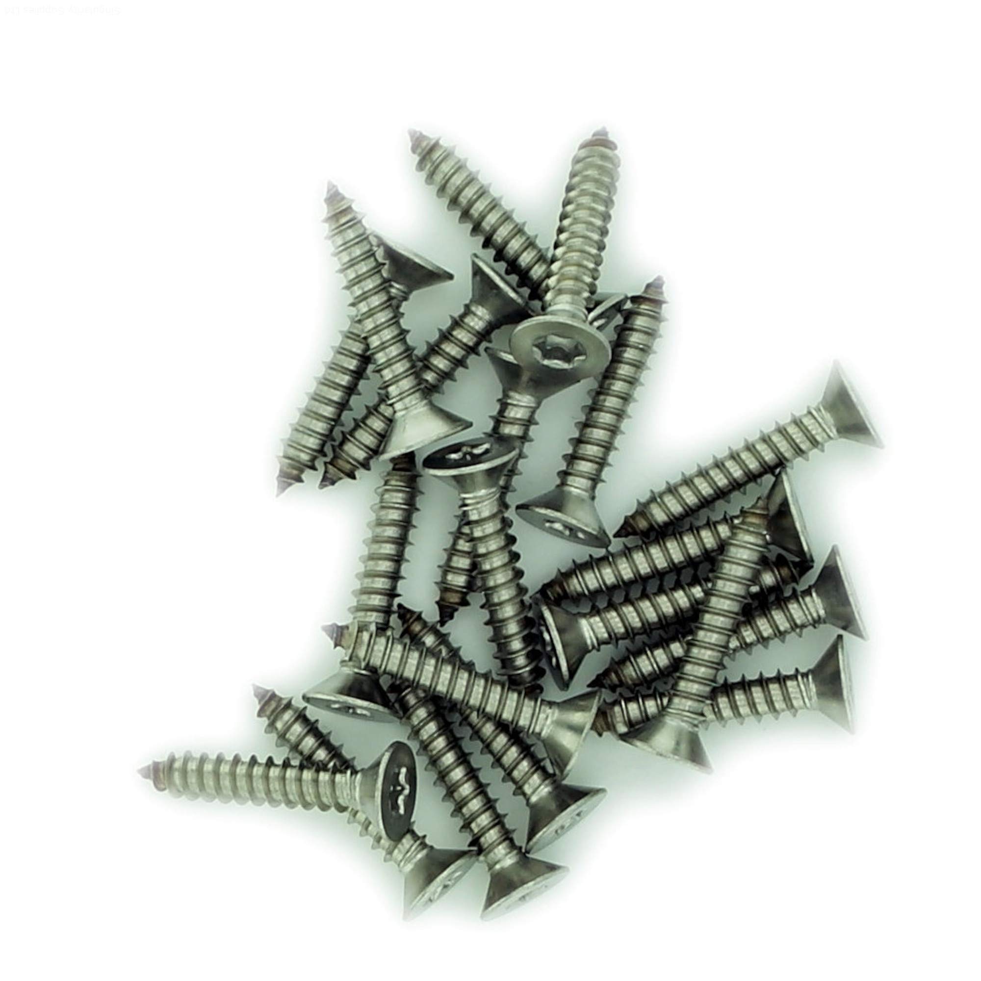 No.4 x 0.875 (2.9mm x 22mm) TX Countersunk Self-Tapping Screw - Stainless Steel (A2) (Pack of 20)