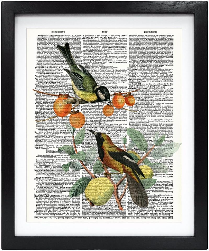 Susie Arts 8X10 Unframed Birds and Fruits Upcycled Vintage Dictionary Art Print Book Art Print Home Decor Wall Art V121
