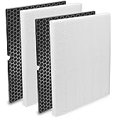 Colorfullife 2 Pack 116130 Replacement Filter H for Winix 5500-2 Air Purifier, 2 HEPA Filters and 2 Activated Carbon Filter Combo Pack