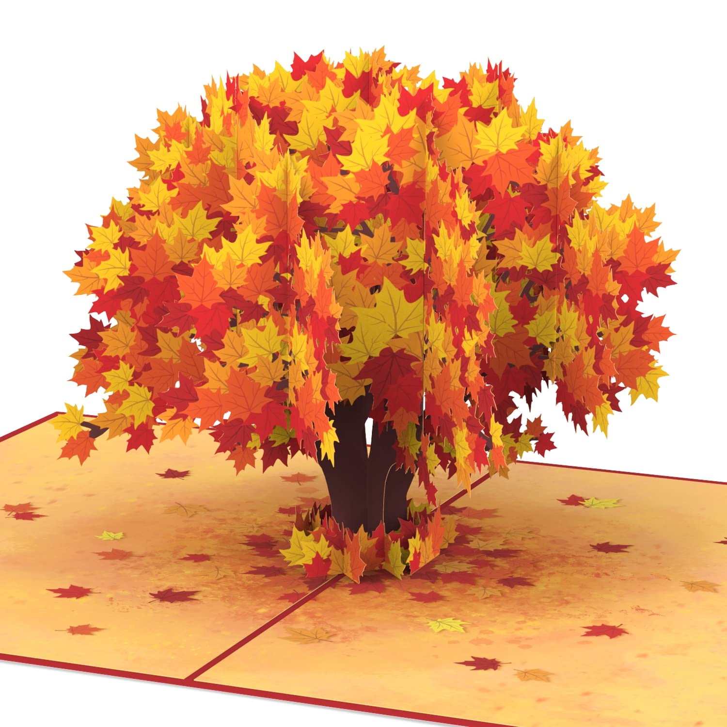 papercrush® Pop Up Card Maple Tree - Autumn 3D Greeting Card for Best Friend, Girlfriend, Wife or Mother - Get Well Soon Card for Colleague - Congratulations Card for Fall Birthdays for Women & Men