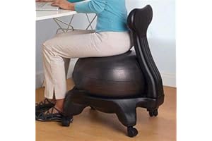Stability Ball Desk Chair with Wheels & Back Support, Large 55cm Anti-Burst Balls Ergonomic Chairs/Medicine Ball Chair Stand 