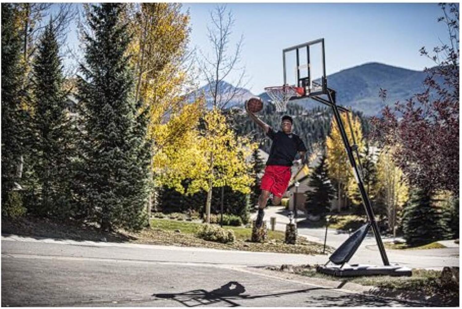 spalding polycarbonate backboard