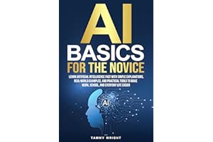 AI BASICS FOR THE NOVICE: Learn Artificial Intelligence Fast With Simple Explanations, Real-World Examples,and Practical Tool