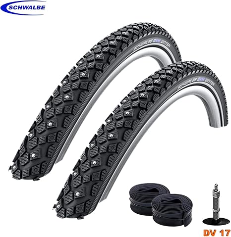 schwalbe winter tyres