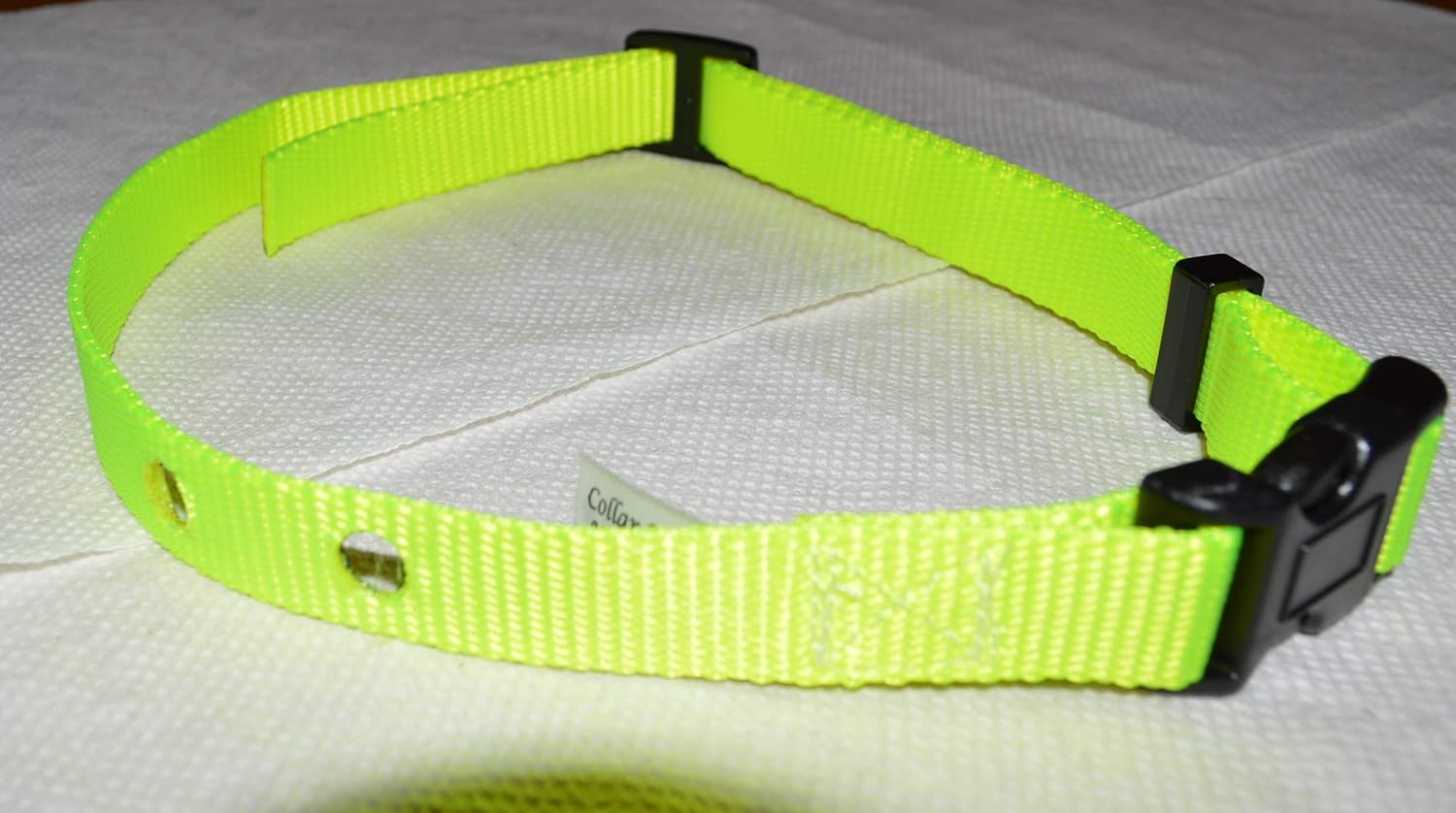 sportdog replacement collar amazon