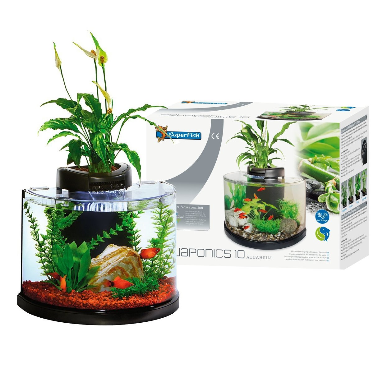 milk and honey farm part 2: aquaponics in a growing dome