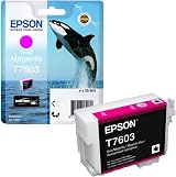 Epson C13T76034010 T7603 Vivid Magenta Ink Cartridge 25.9ml view 2