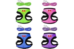 TEZUYOK 4 Pcs Chicken Harness and Leash for Hens Funny Chicken Accessories Comfortable Hen Vest Breathable Mesh Chicken Accessories for Hens