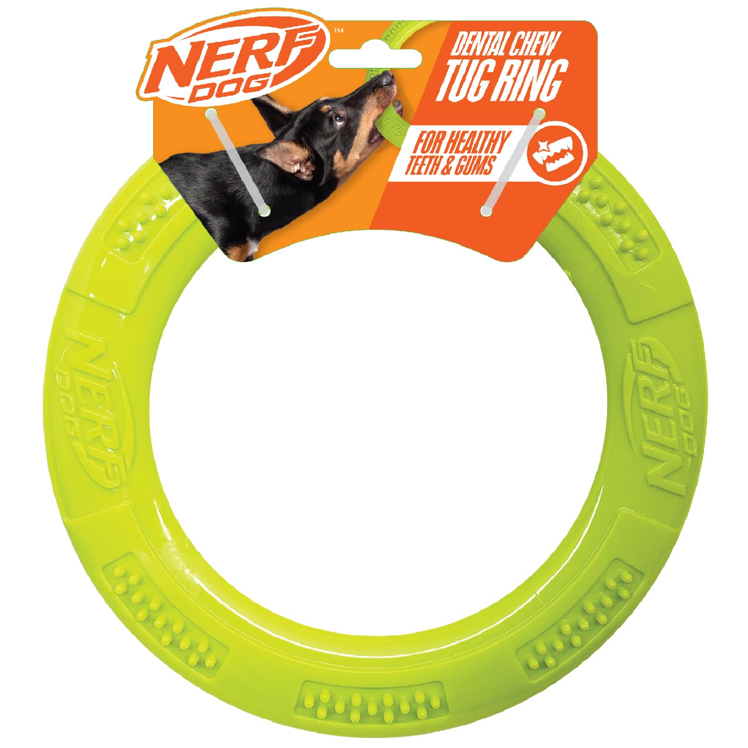 Nerf Dog Super Soaker Floating Ring, Toy (packing may vary)