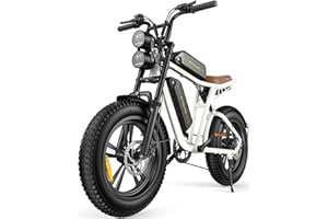 ENGWE M20 Electric Bike for Adults - 1000W 28mph Moped Ebike 48V13A Single/48V26A Dual Battery 20*4.0" Fat Tire All Terrain Off Road E-Bike Full Suspension Max 94Miles Long Range 7-Speed UL Certified
